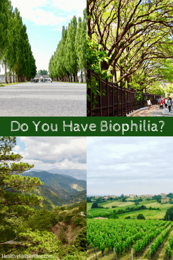Do You Have Biophilia? | A discussion on Biophilia, the theory that humans possess an innate tendency to seek connections with nature and other forms of life. With the change of seasons, it's the perfect time to delve deep into our personal connection with the outdoors! 