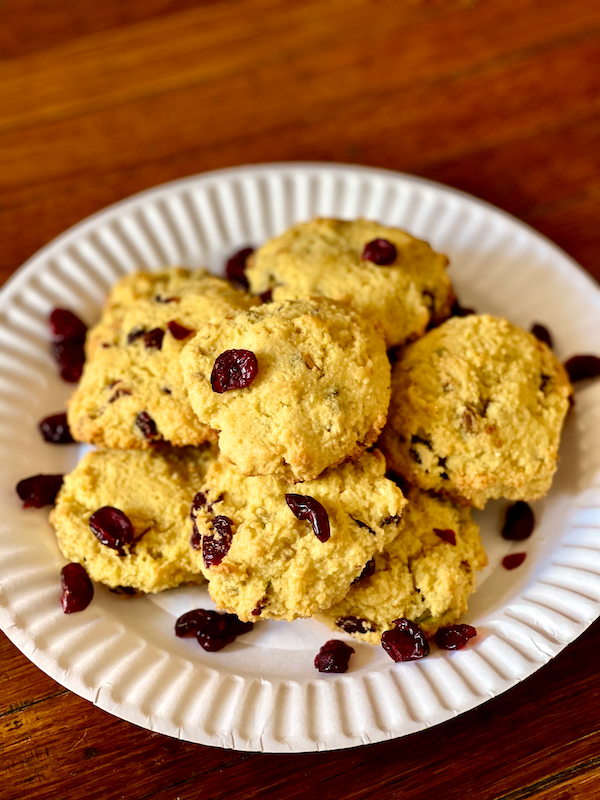 Pistachio Cranberry Almond Flour Cookies | Delightfully chewy n' light paleo cookies made with almond flour and no refined sugars! Studded with sweet cranberries and salty shelled pistachios, these cookies are gluten-free, grain-free, and perfect for the holiday season! A healthy, delicious addition to your dessert table.