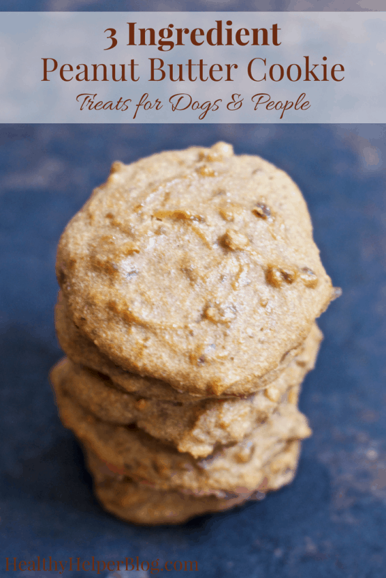 vegan peanut butter dog treats