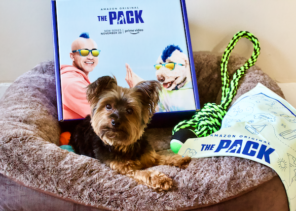 The Pack on Amazon Prime