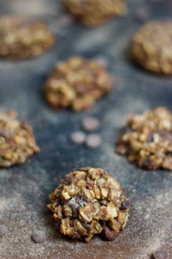 Vegan Lactation Cookies | Healthy Helper @Healthy_Helper Healthy, wholesome lactation cookies filled with nutrient dense foods like nuts, peanut butter, dried fruit, flaxseed, chia seeds, and Brewer's yeast. Vegan, gluten-free, and super easy to make! They are moist, yummy and they help boost and/or maintain milk supply.