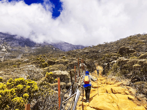 Everything You Need to Know to Climb Mount Kinabalu | An extensive guide on EVERYTHING you need to know about climbing Mount Kinabalu, the tallest mountain in Borneo, Malaysia. From cost to logistics and everything in between.